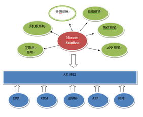 微网商城系统 九大应用模式